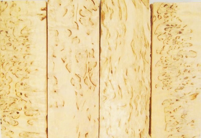 tree-karber-sm.jpg